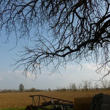 Venkovský dům Corte Rocca San Giorgio di Mantova