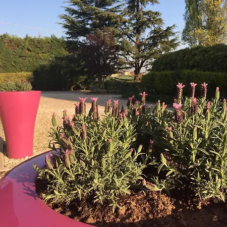 Corte Rocca San Giorgio di Mantova